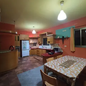 Nest House Hostal